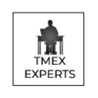 Tme Experts Network Cybersecurity & IT Solutions image 2
